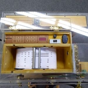 Music strips and memory